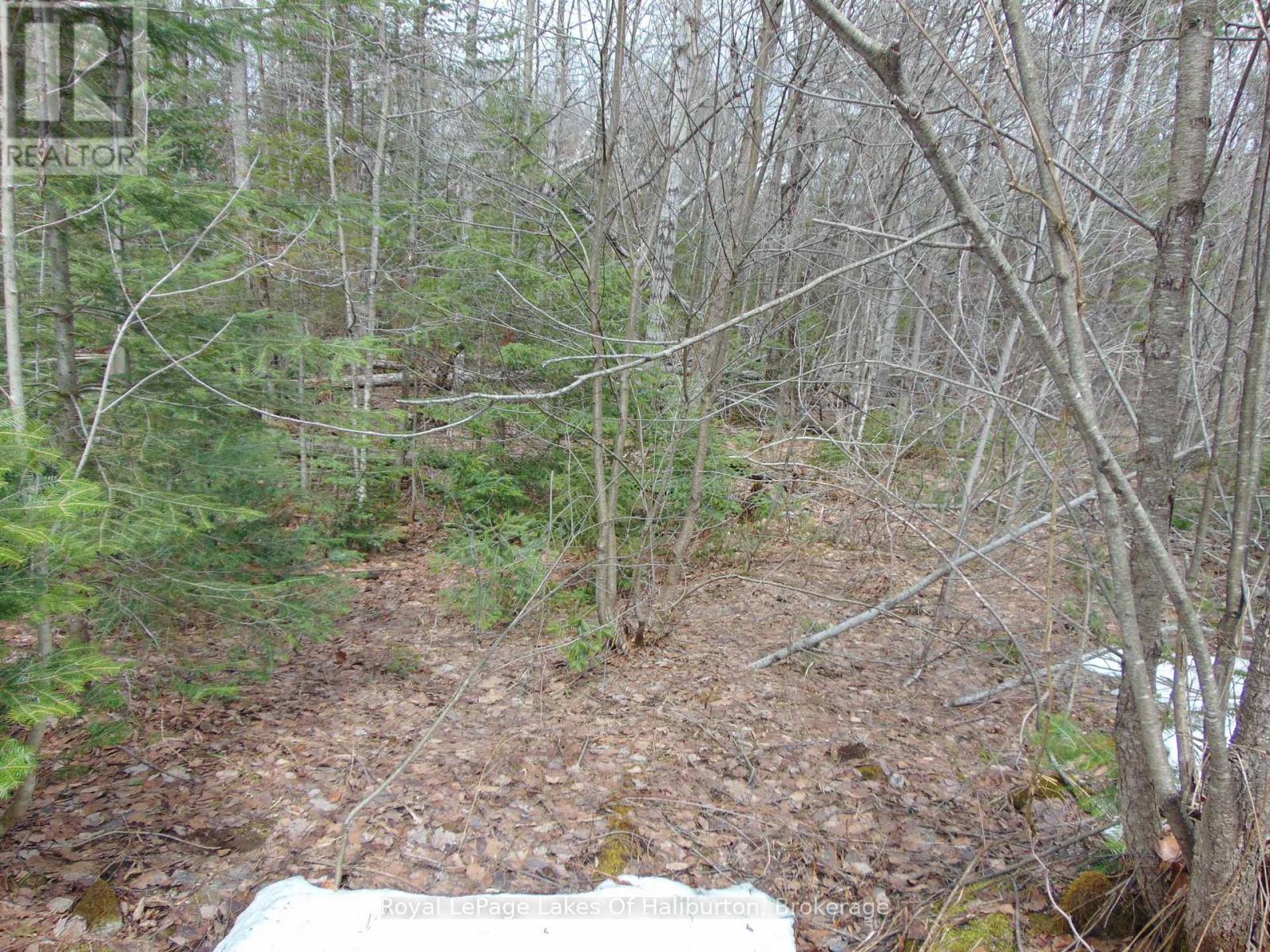 Lot 11 Plan 580 North Drive, Dysart Et Al, Ontario  K0M 1S0 - Photo 5 - X12898396