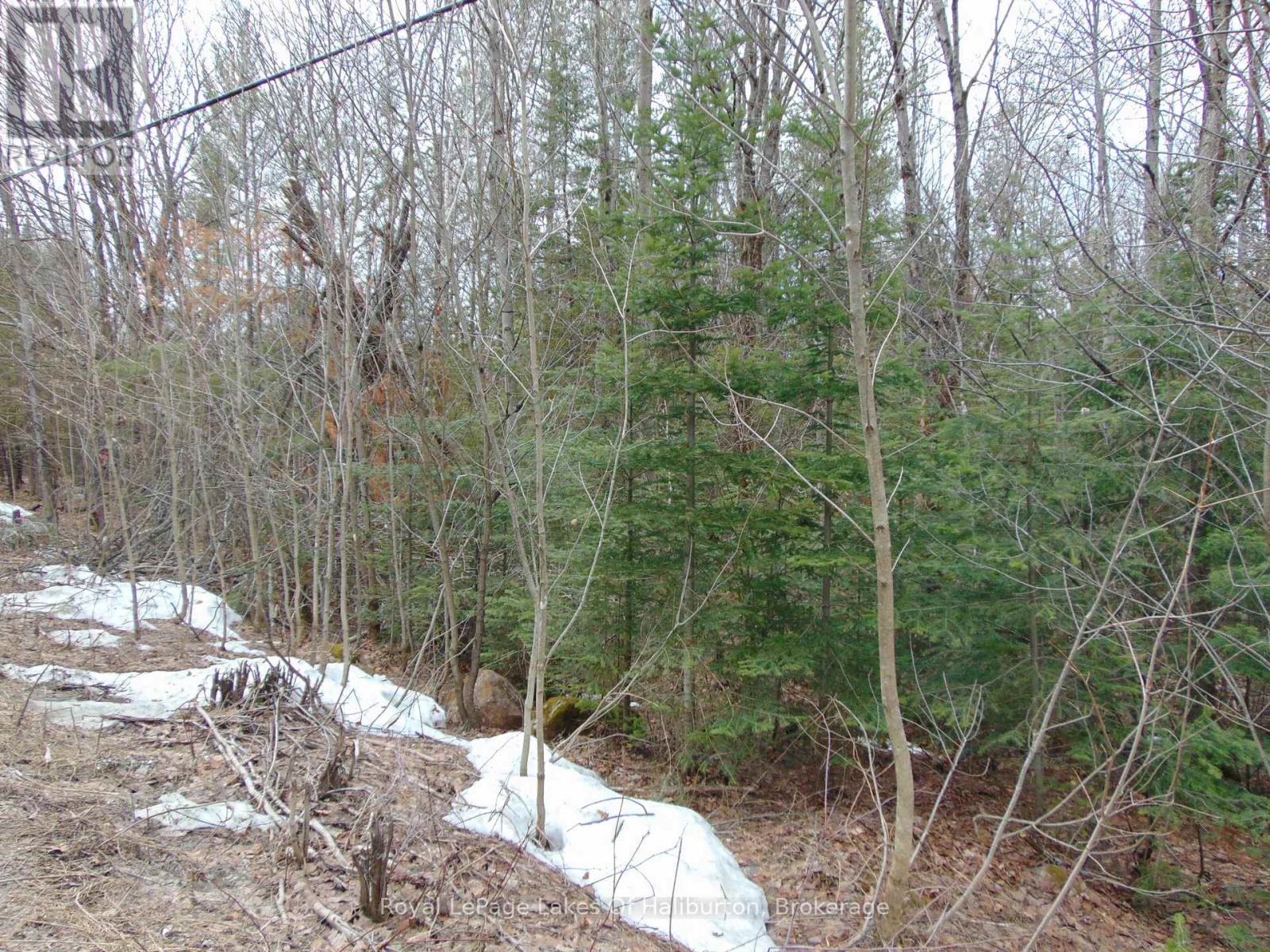 Lot 11 Plan 580 North Drive, Dysart Et Al, Ontario  K0M 1S0 - Photo 4 - X12898396