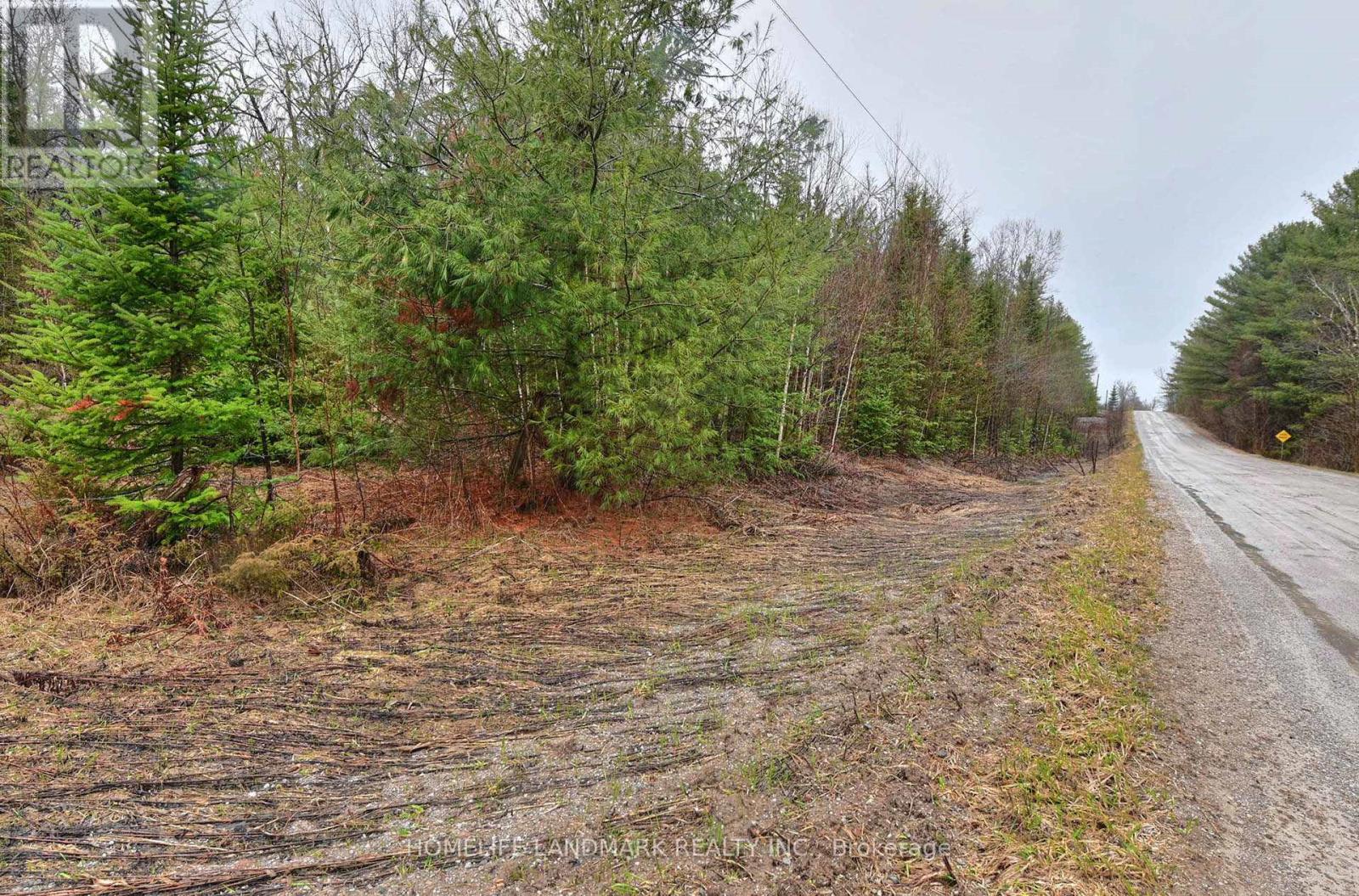 26-28 Chisholm Trail, Kawartha Lakes, Ontario  L0K 1W0 - Photo 11 - X12507488