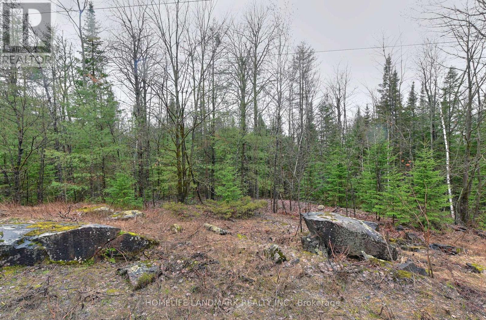 26-28 Chisholm Trail, Kawartha Lakes, Ontario  L0K 1W0 - Photo 13 - X12507488