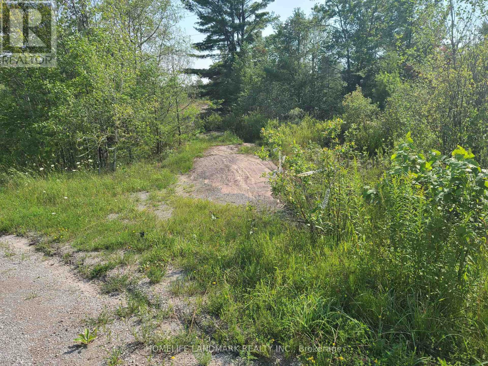 26-28 Chisholm Trail, Kawartha Lakes, Ontario  L0K 1W0 - Photo 7 - X12507488