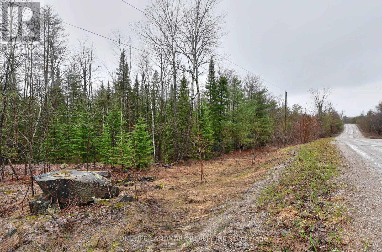 26-28 Chisholm Trail, Kawartha Lakes, Ontario  L0K 1W0 - Photo 14 - X12507488