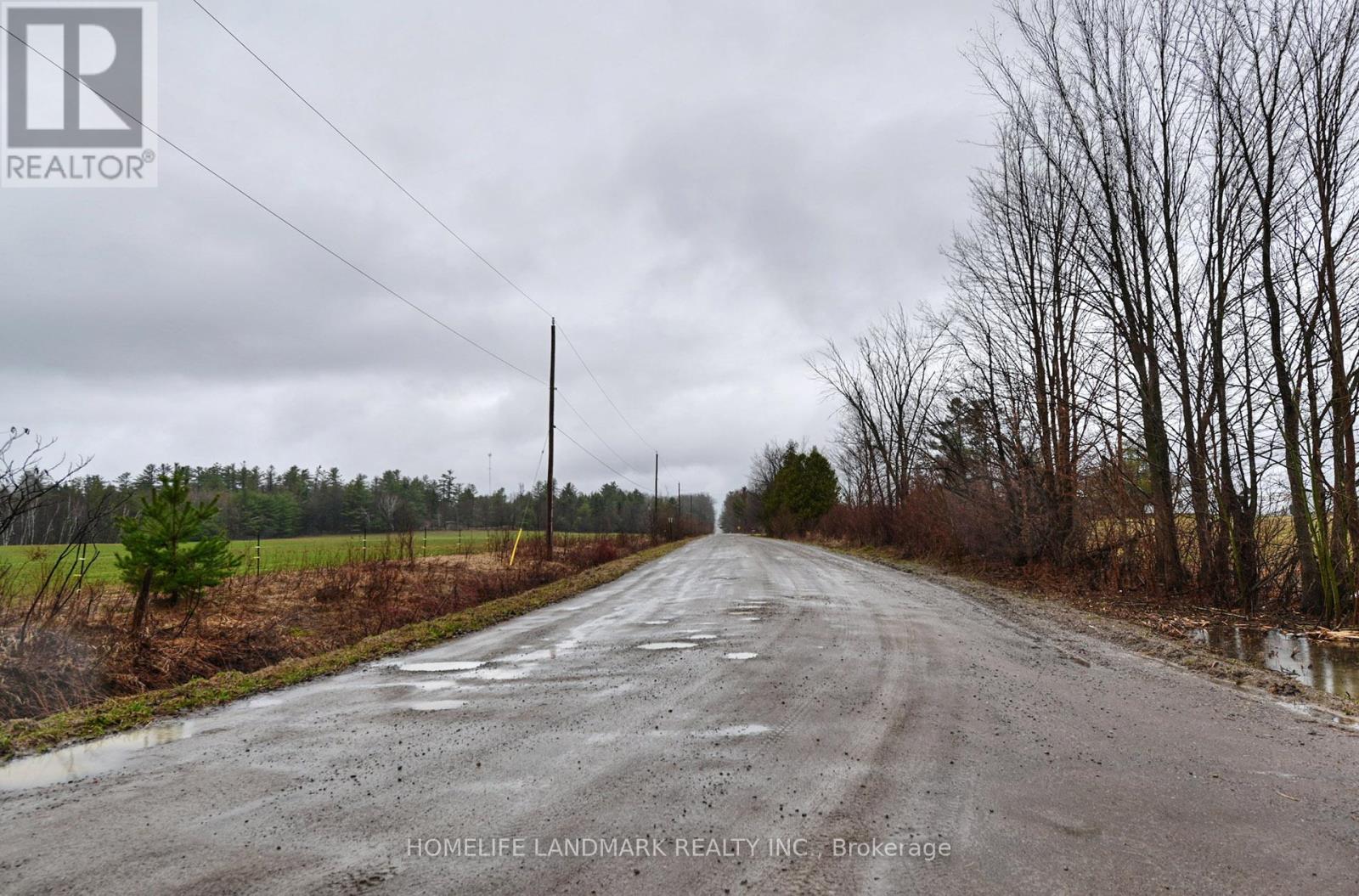 26-28 Chisholm Trail, Kawartha Lakes, Ontario  L0K 1W0 - Photo 8 - X12507488