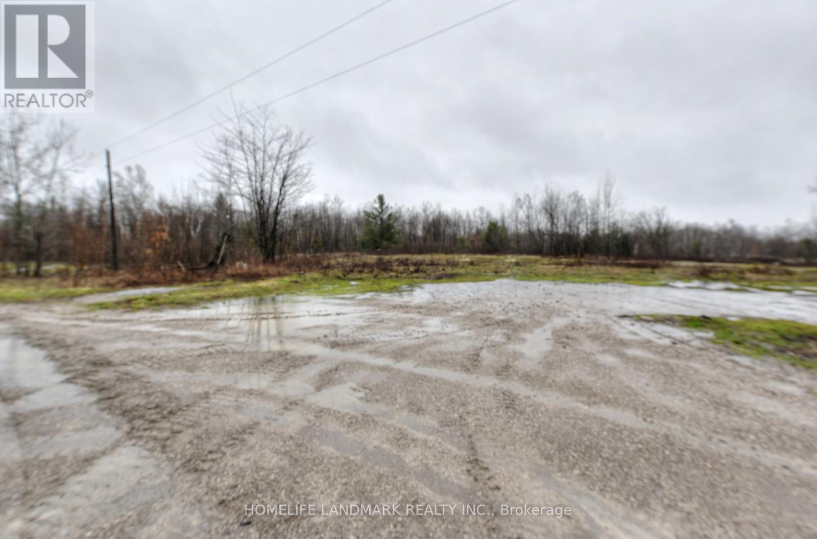 26-28 Chisholm Trail, Kawartha Lakes, Ontario  L0K 1W0 - Photo 15 - X12507488