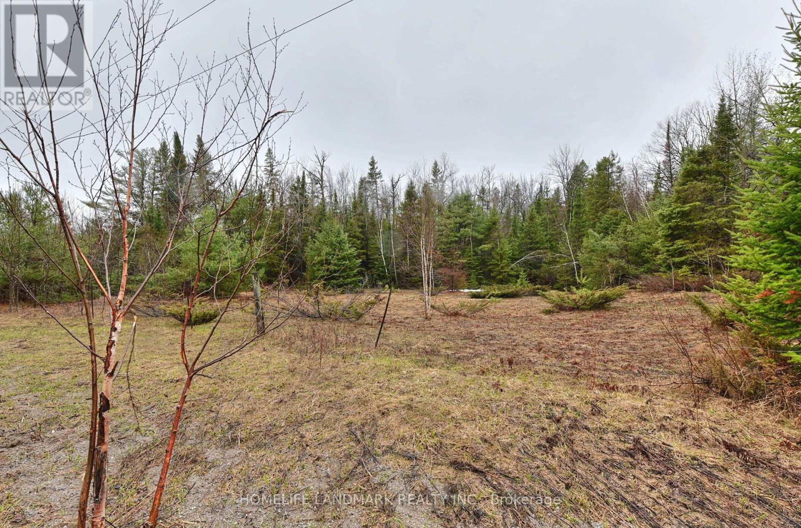 26-28 Chisholm Trail, Kawartha Lakes, Ontario  L0K 1W0 - Photo 9 - X12507488