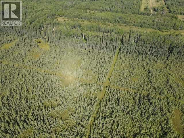 Se 9 85 22 W5 Twp 851a, Rural Northern Lights, Alberta  T8S 1S5 - Photo 16 - A2303318