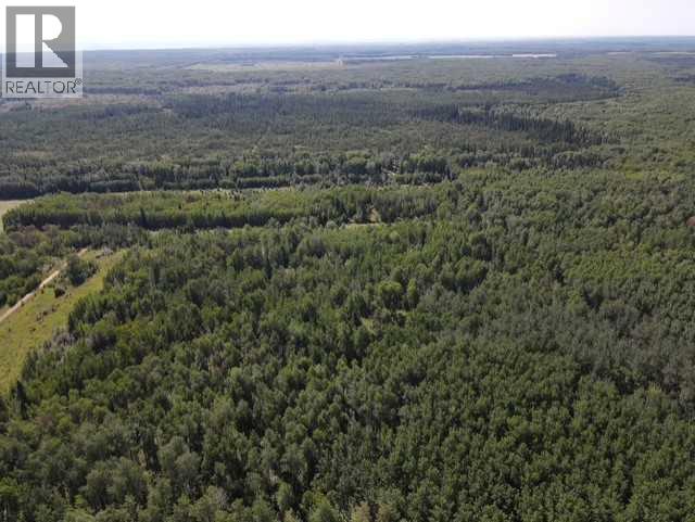 Se 9 85 22 W5 Twp 851a, Rural Northern Lights, Alberta  T8S 1S5 - Photo 18 - A2303318