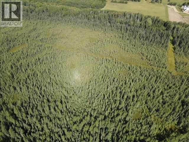 Se 9 85 22 W5 Twp 851a, Rural Northern Lights, Alberta  T8S 1S5 - Photo 22 - A2303318
