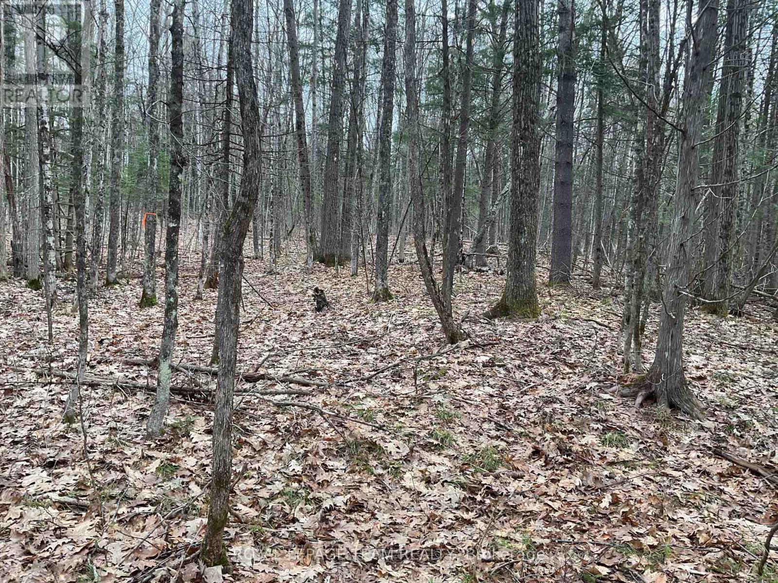 4403 Wolf Grove Road, Lanark Highlands, Ontario  K0A 1K0 - Photo 3 - X13017664