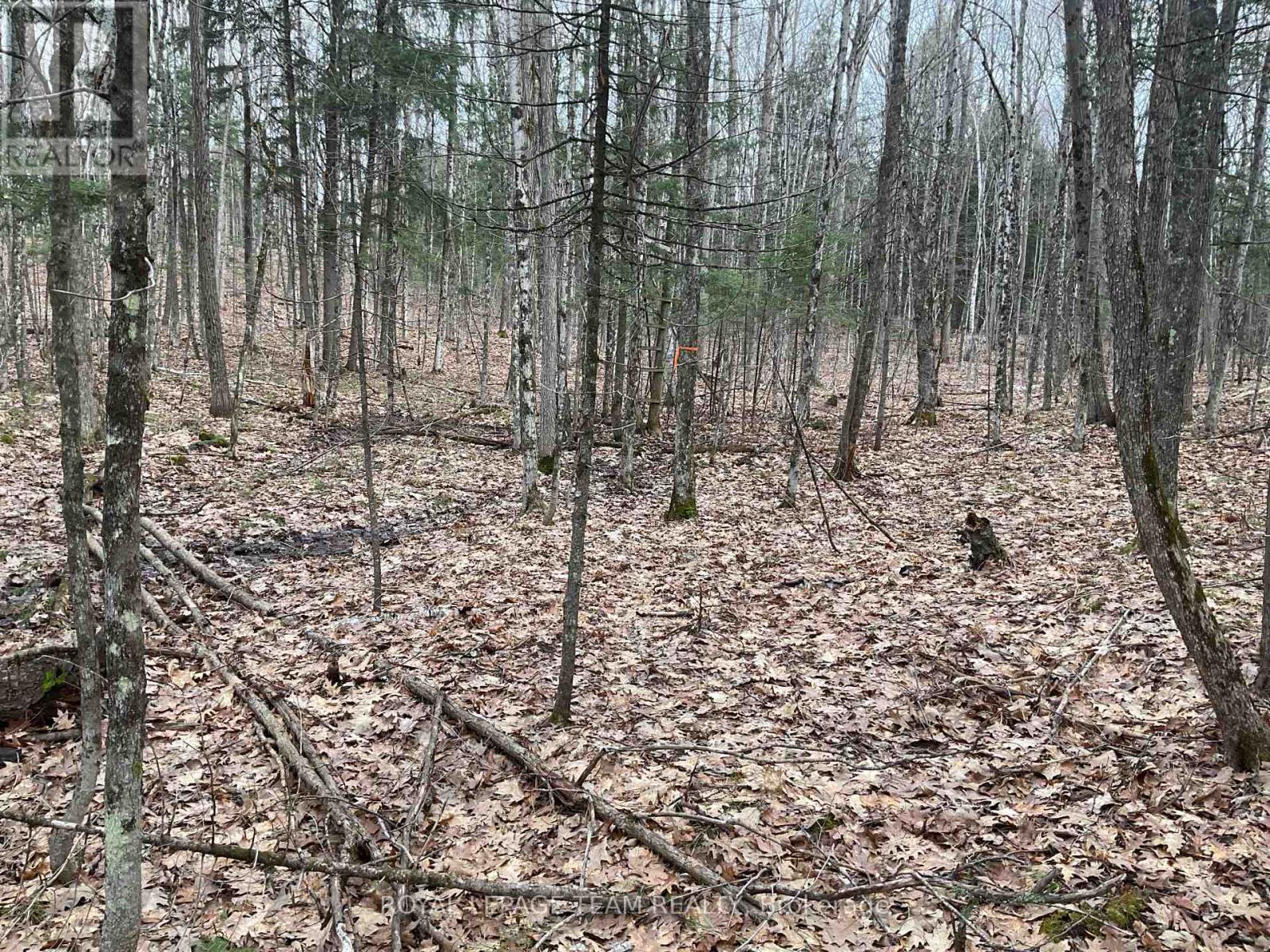 4403 Wolf Grove Road, Lanark Highlands, Ontario  K0A 1K0 - Photo 5 - X13017664