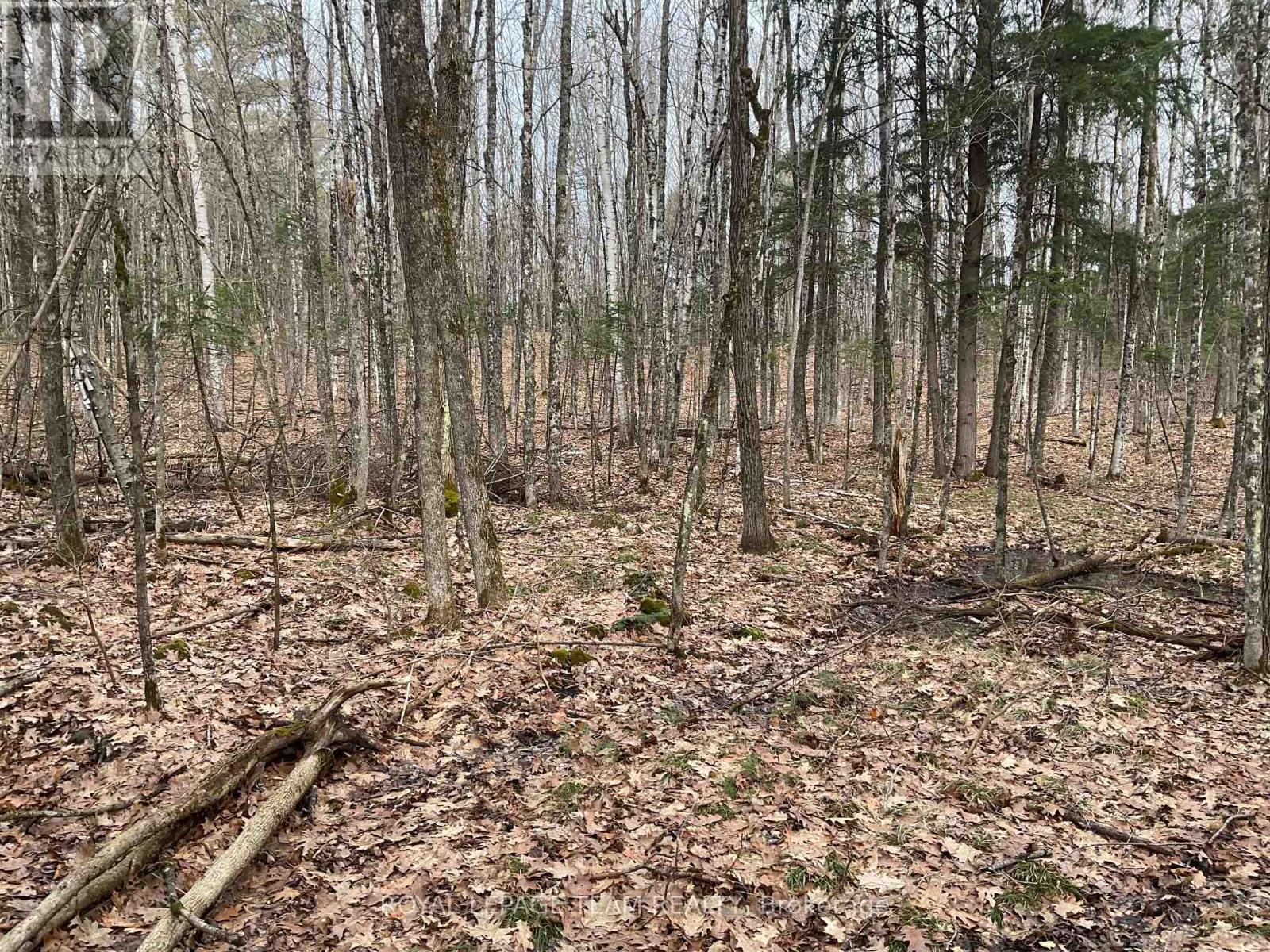 4403 Wolf Grove Road, Lanark Highlands, Ontario  K0A 1K0 - Photo 6 - X13017664