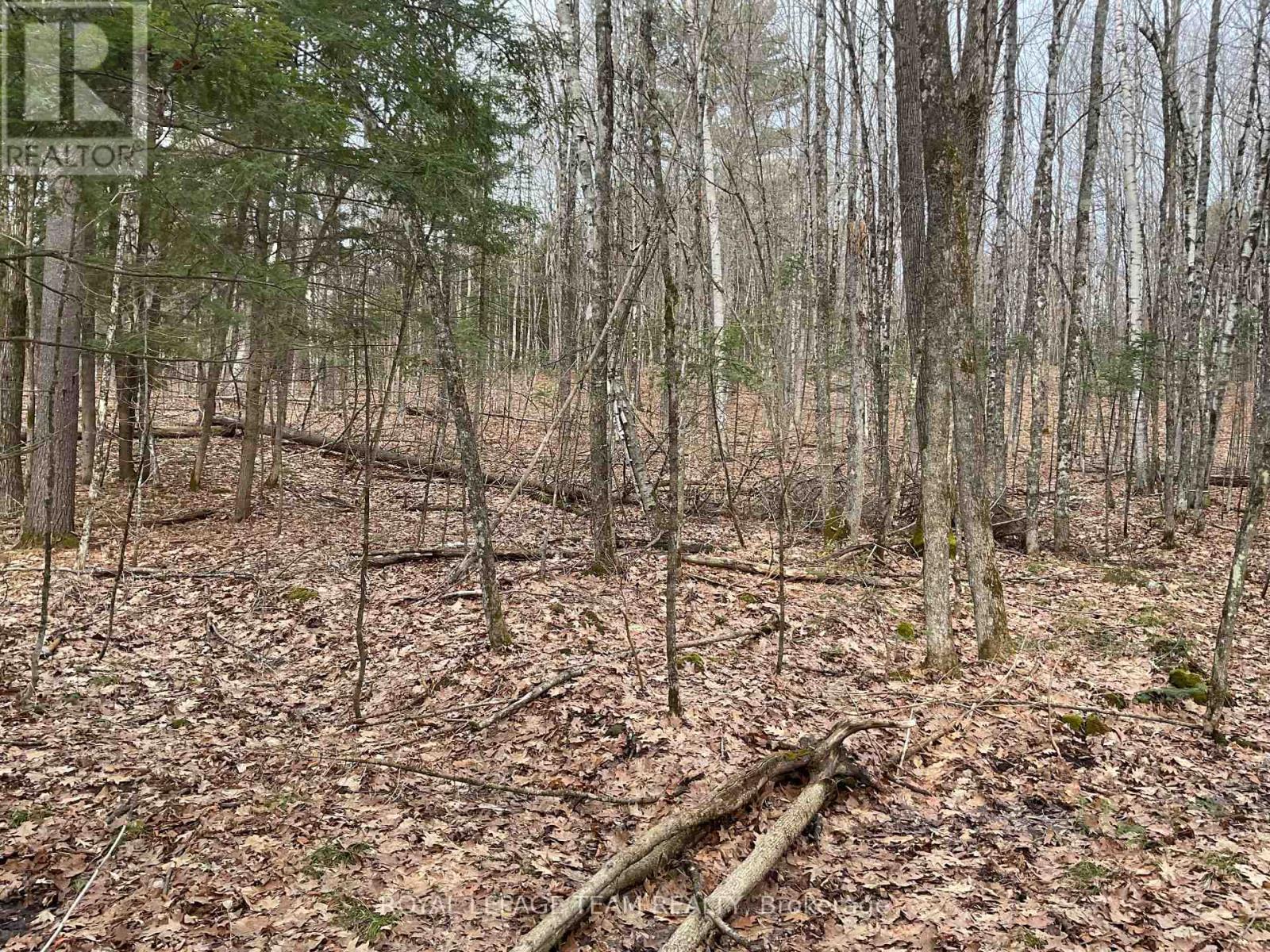 4403 Wolf Grove Road, Lanark Highlands, Ontario  K0A 1K0 - Photo 7 - X13017664