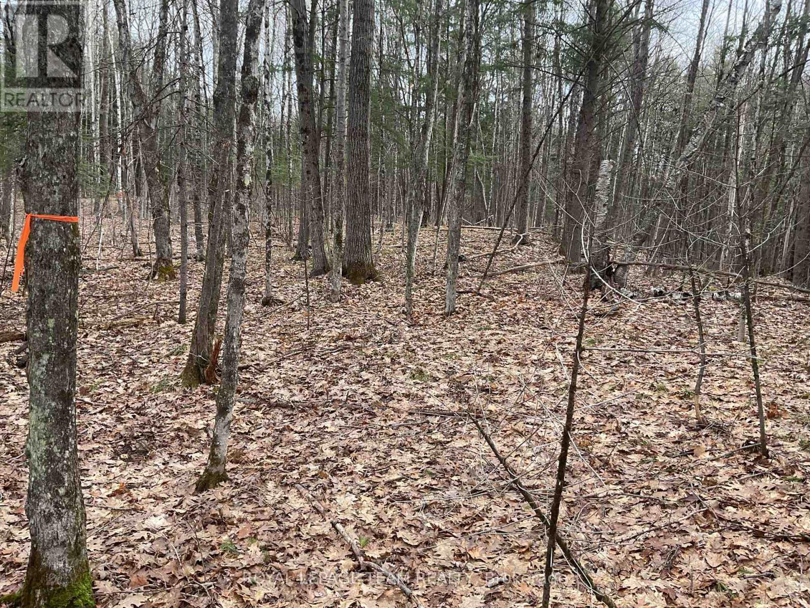 4403 Wolf Grove Road, Lanark Highlands, Ontario  K0A 1K0 - Photo 8 - X13017664