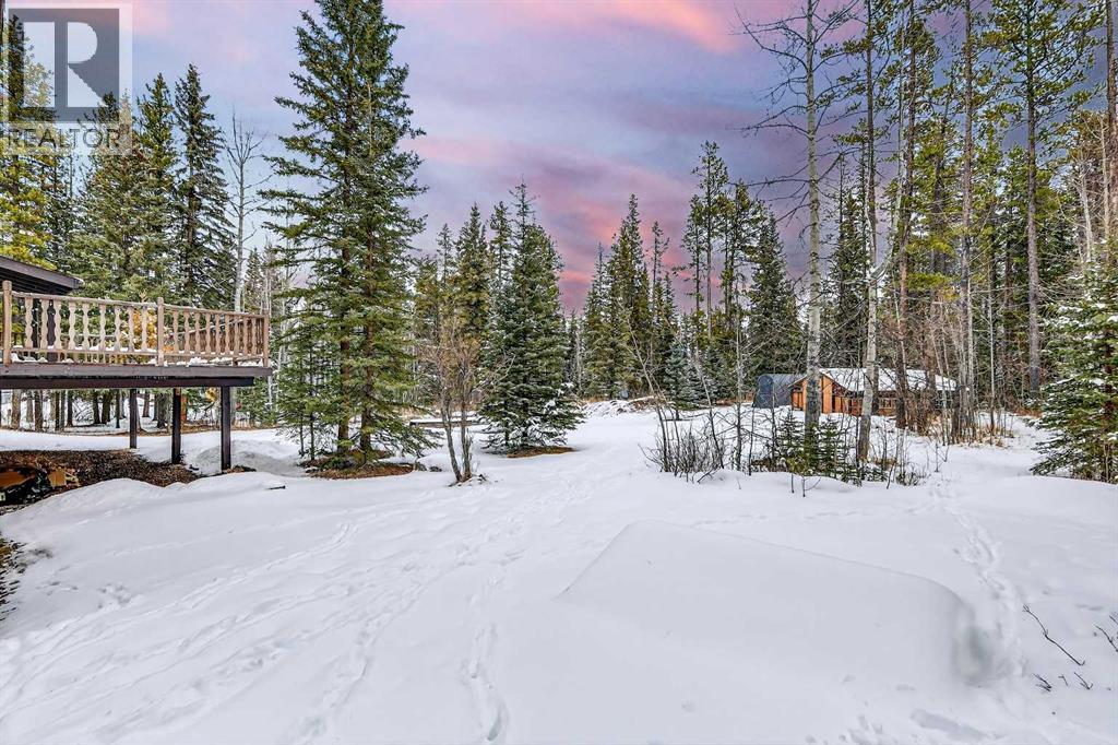 336 Wild Rose Close, Rural Rocky View County, Alberta  T0L 0K0 - Photo 38 - A2298709