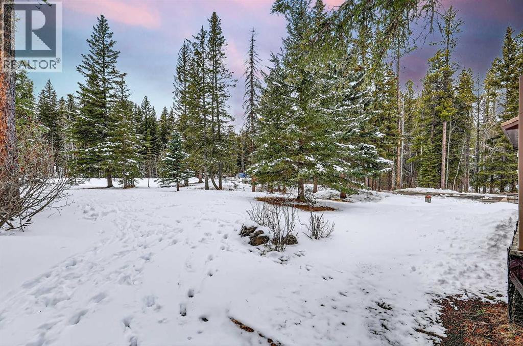 336 Wild Rose Close, Rural Rocky View County, Alberta  T0L 0K0 - Photo 37 - A2298709