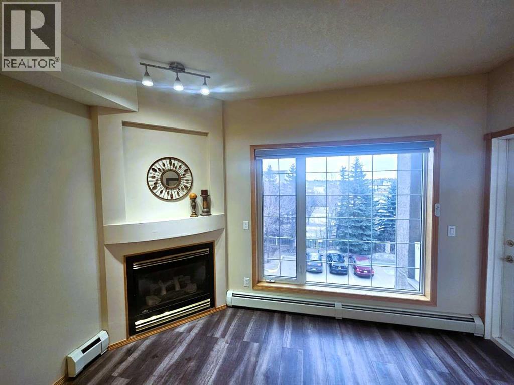 303, 4512 52 Avenue, Red Deer, Alberta  T4N 7B9 - Photo 4 - A2302685