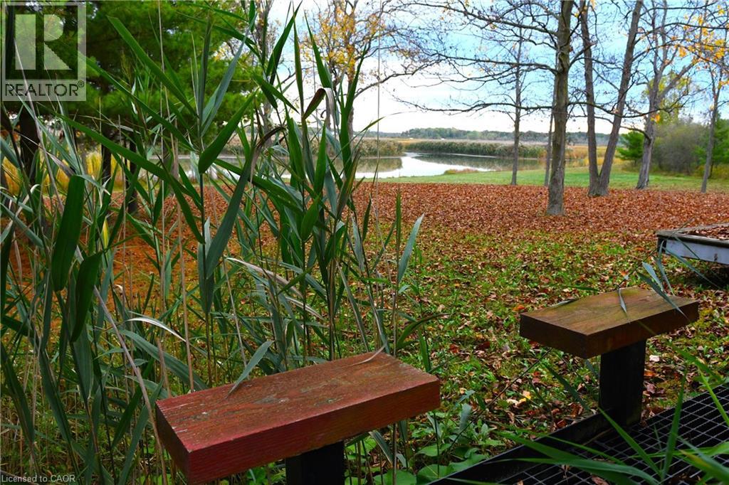 225 Port Maitland Road, Dunnville, Ontario  N1A 2W6 - Photo 38 - 40802813