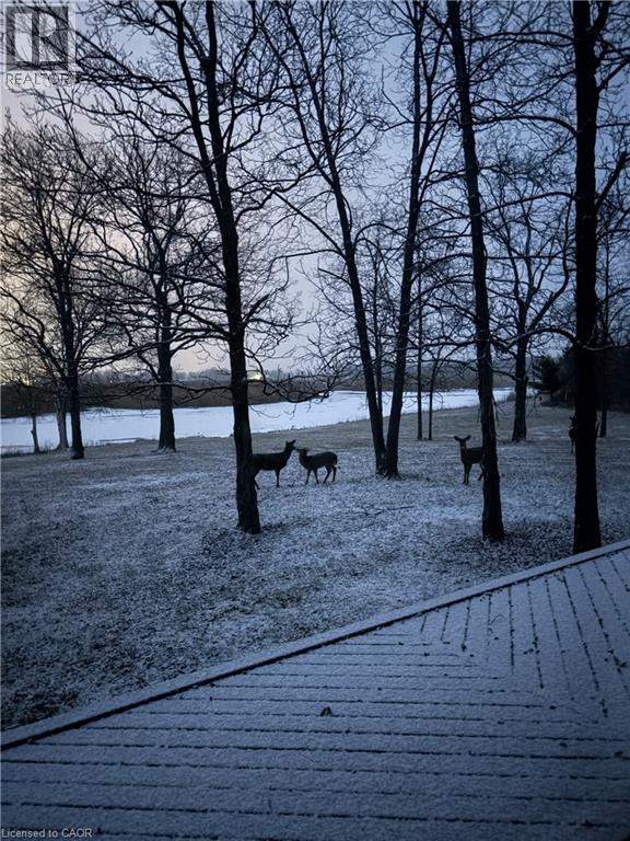 225 Port Maitland Road, Dunnville, Ontario  N1A 2W6 - Photo 43 - 40802813