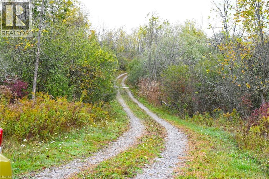 225 Port Maitland Road, Dunnville, Ontario  N1A 2W6 - Photo 42 - 40802813