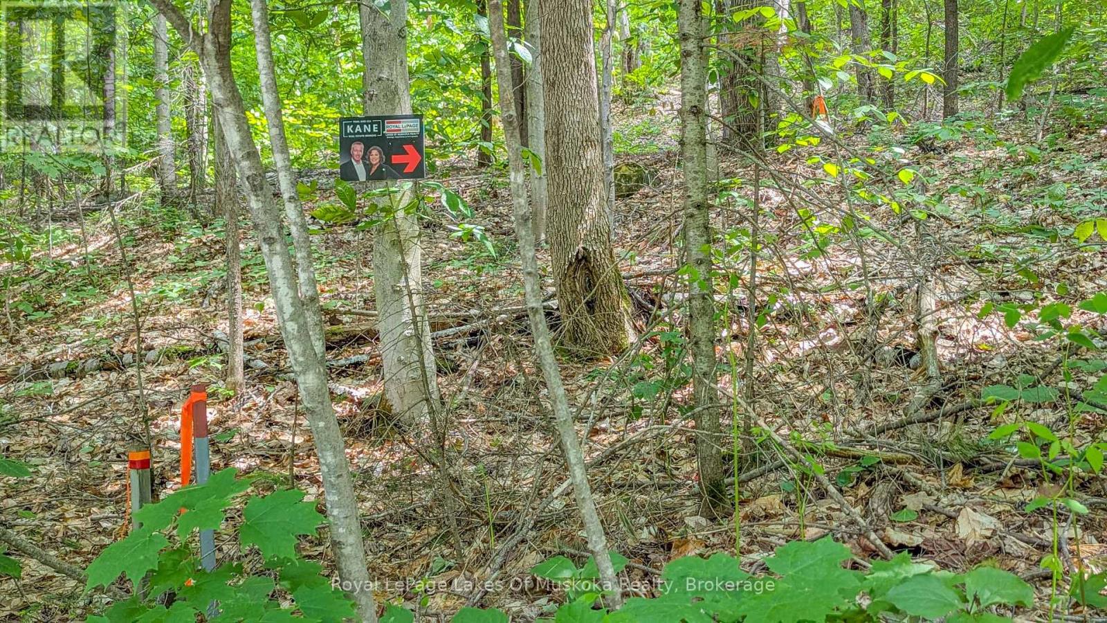0 Rosseau Lake Rd 1, Muskoka Lakes, Ontario  P0B 1M0 - Photo 1 - X12647220