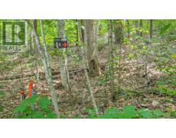 0 ROSSEAU LAKE RD 1, Muskoka Lakes, Ontario