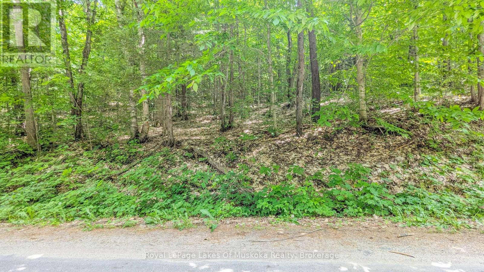 0 Rosseau Lake Rd 1, Muskoka Lakes, Ontario  P0B 1M0 - Photo 3 - X12647220