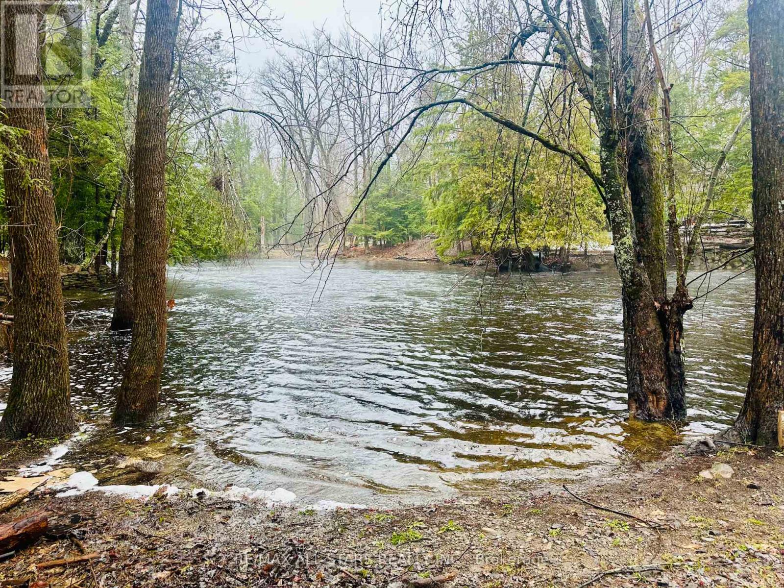 398 Edwina Drive, Trent Lakes, Ontario  K0M 1A0 - Photo 45 - X12862168