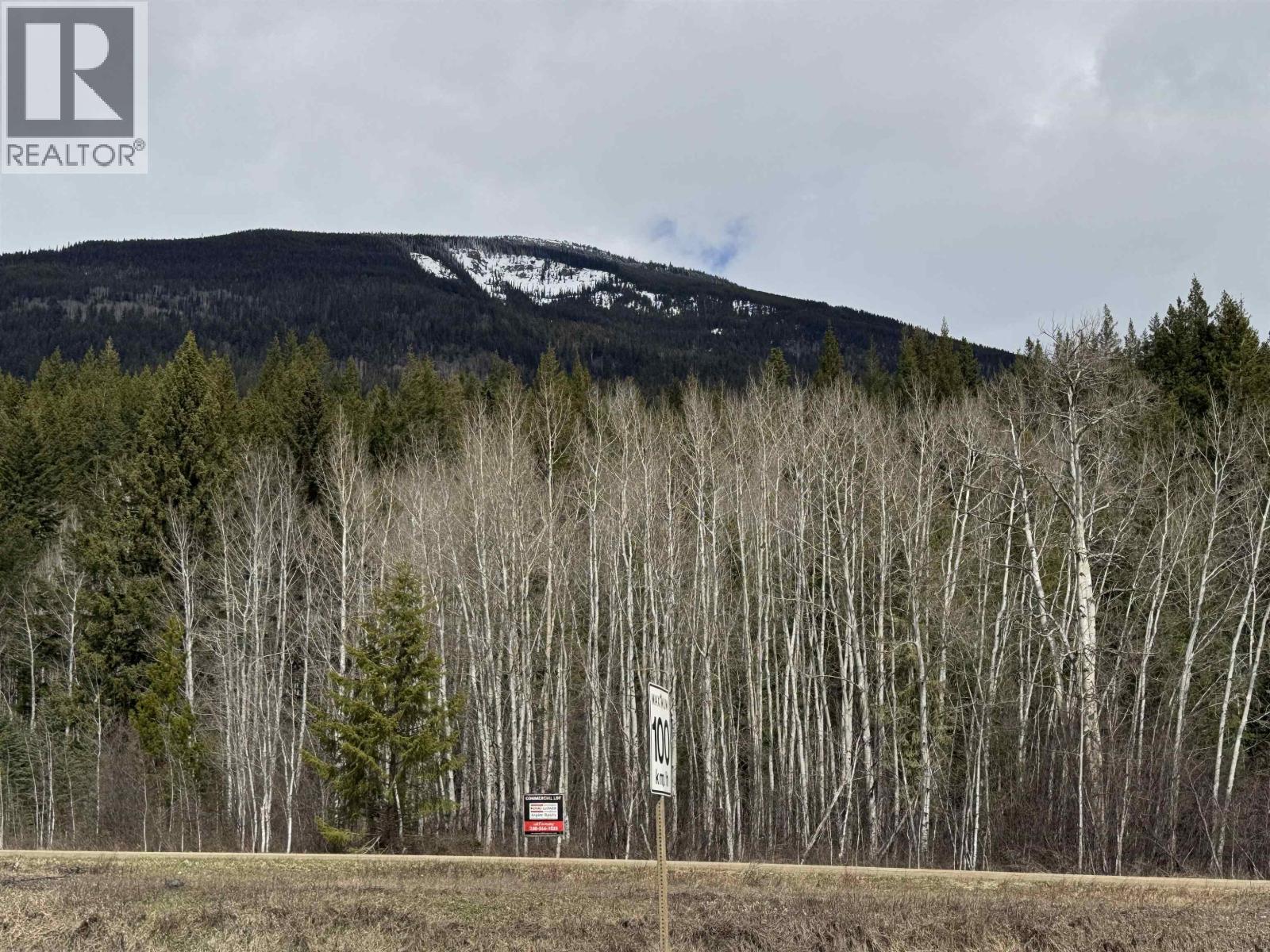 Lot 11 Essen Road, Valemount, British Columbia  V0E 2Z0 - Photo 1 - R3071351