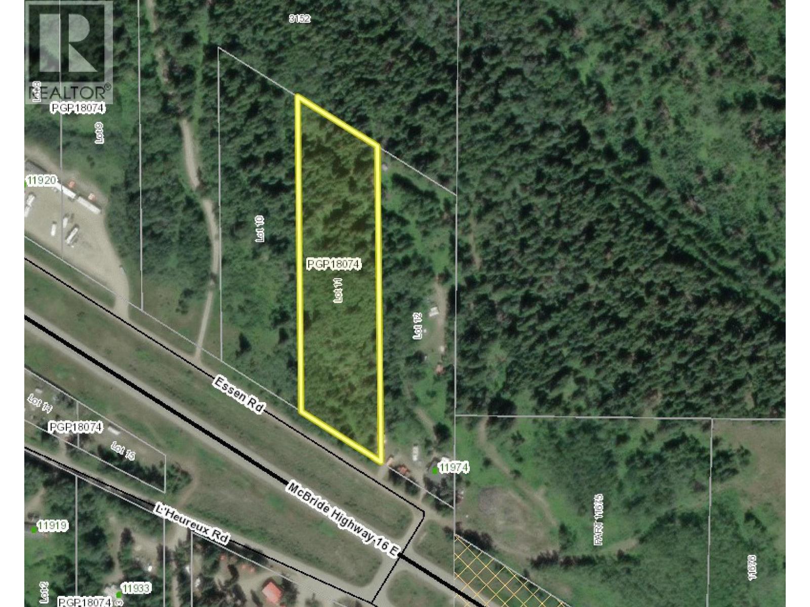 Lot 11 Essen Road, Valemount, British Columbia  V0E 2Z0 - Photo 5 - R3071351