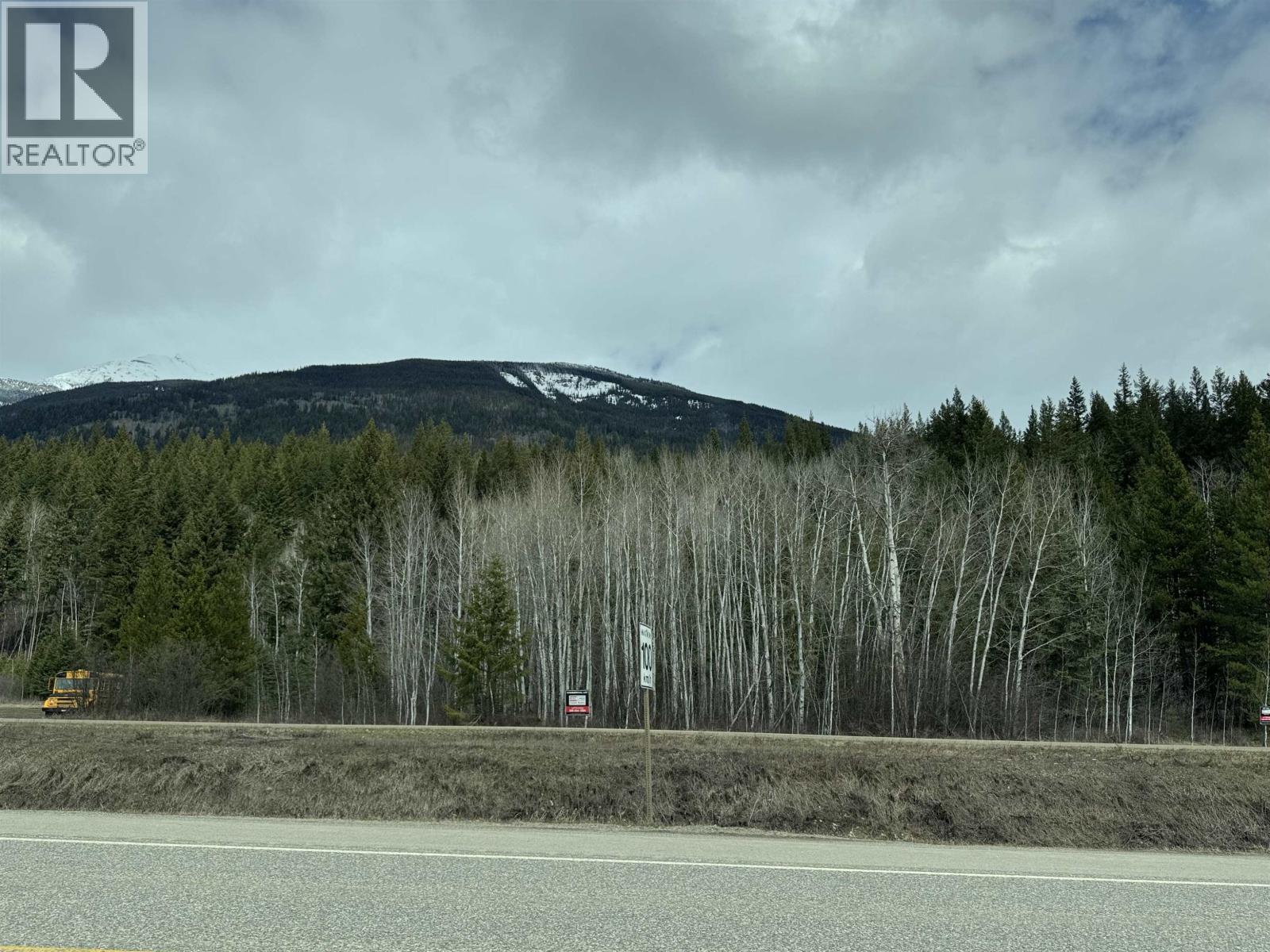 Lot 11 Essen Road, Valemount, British Columbia  V0E 2Z0 - Photo 3 - R3071351
