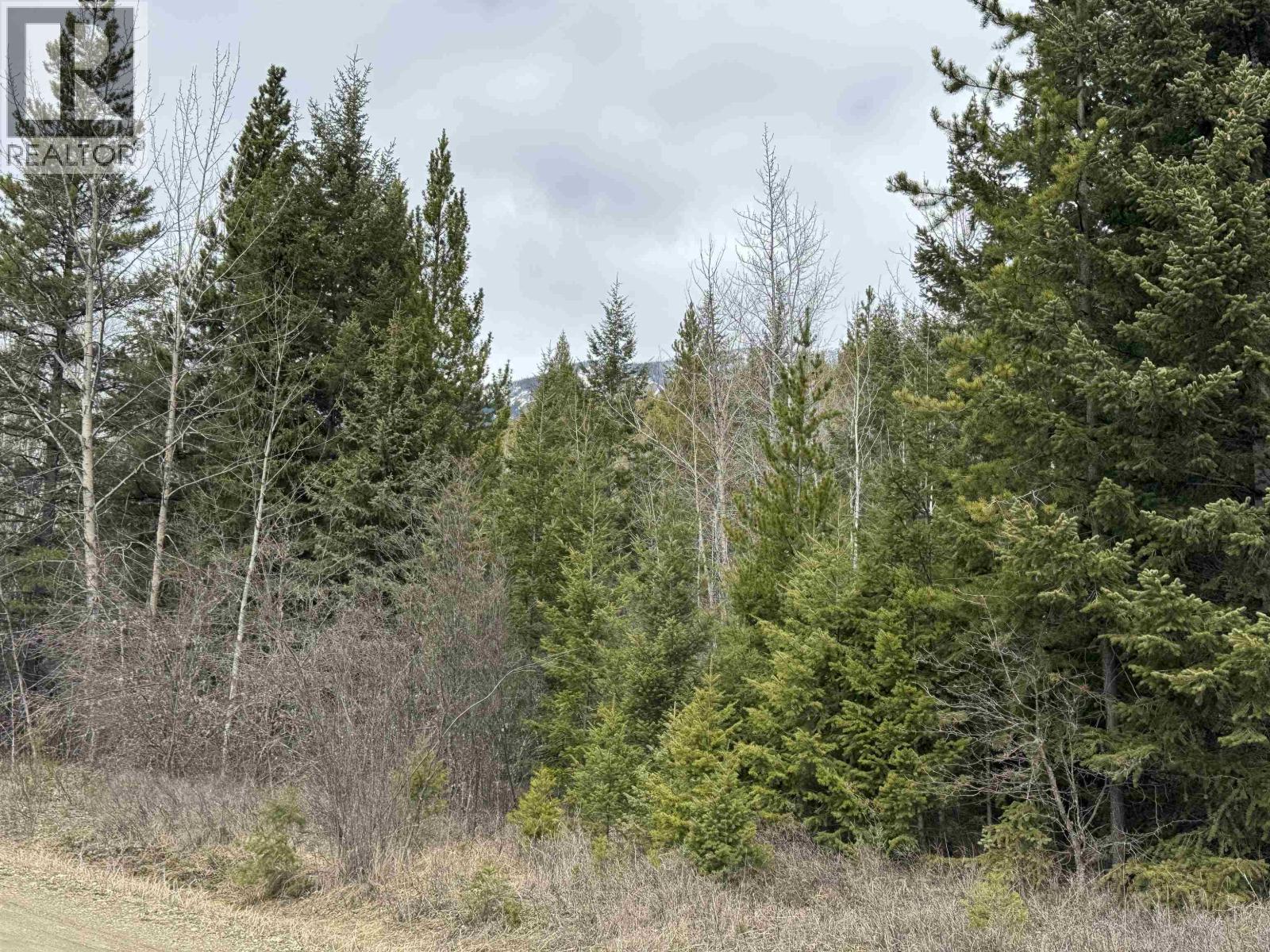 Lot 11 Essen Road, Valemount, British Columbia  V0E 2Z0 - Photo 4 - R3071351