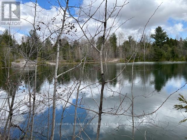 11369 And 11501 Concession Rd 3 Road, Uxbridge, Ontario  L0E 1T0 - Photo 17 - N13017022
