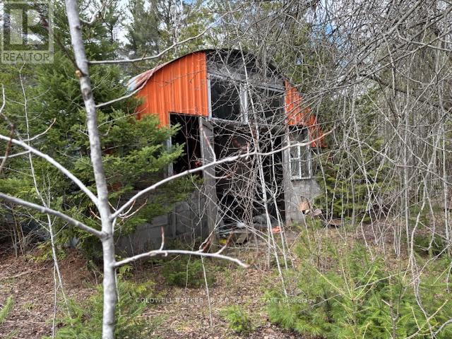 11369 And 11501 Concession Rd 3 Road, Uxbridge, Ontario  L0E 1T0 - Photo 18 - N13017022