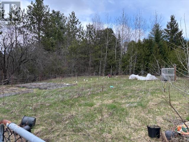 11369 And 11501 Concession Rd 3 Road, Uxbridge, Ontario  L0E 1T0 - Photo 22 - N13017022