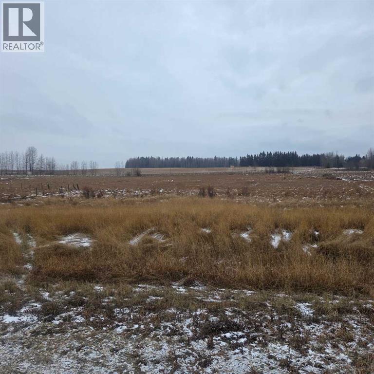 Lot 3 Range Road 175, Rural Yellowhead County, Alberta  T7E 3L7 - Photo 4 - A2273071
