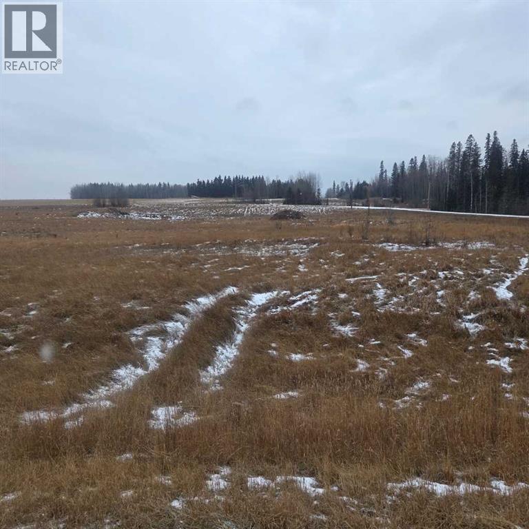 Lot 4 Range Road 175, Rural Yellowhead County, Alberta  T7E 3L4 - Photo 4 - A2273072