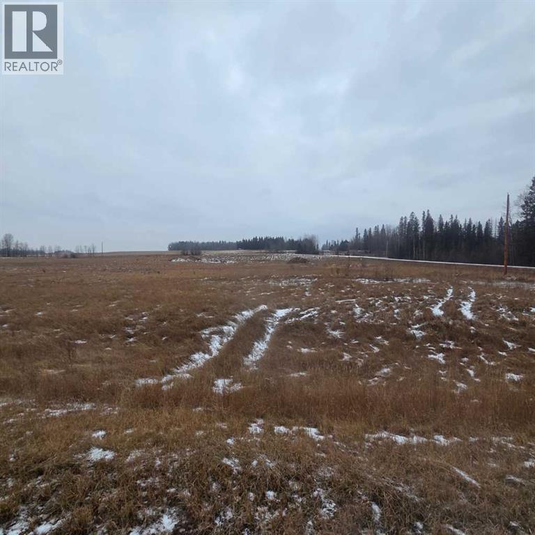 Lot 4 Range Road 175, Rural Yellowhead County, Alberta  T7E 3L4 - Photo 6 - A2273072