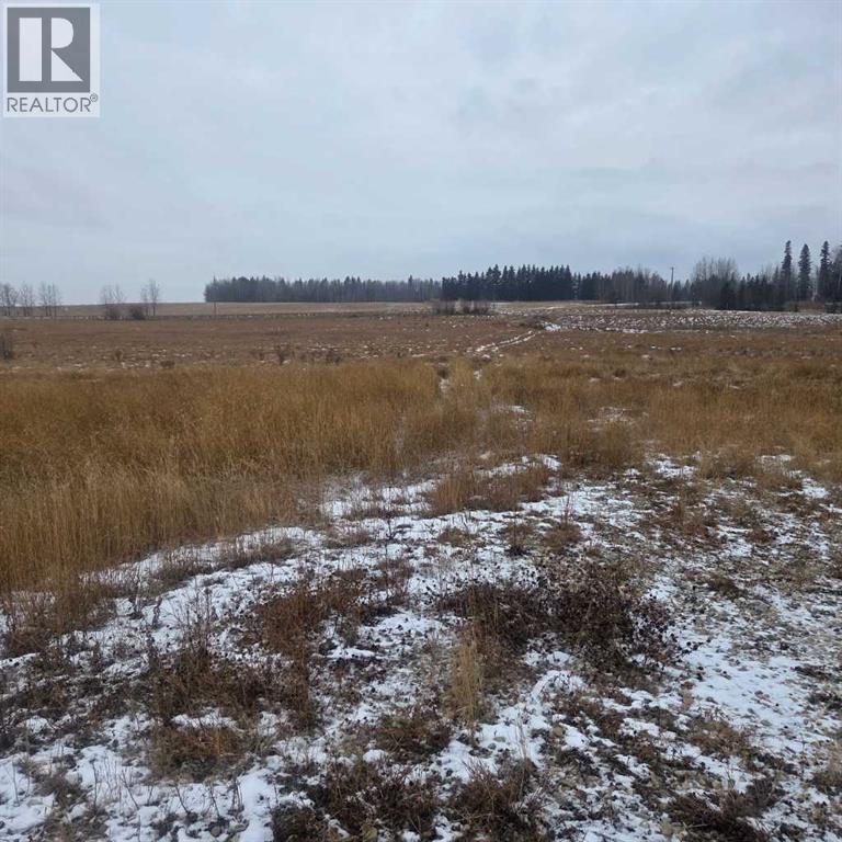 Lot 4 Range Road 175, Rural Yellowhead County, Alberta  T7E 3L4 - Photo 8 - A2273072