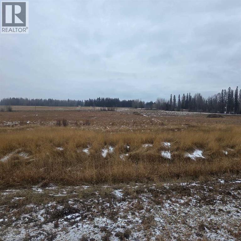 Lot 4 Range Road 175, Rural Yellowhead County, Alberta  T7E 3L4 - Photo 7 - A2273072