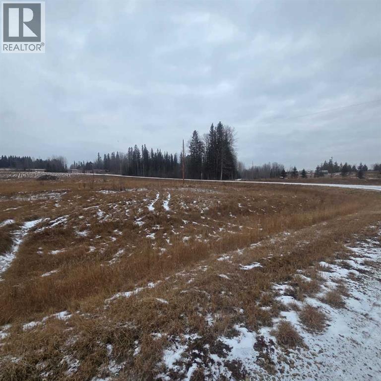 Lot 4 Range Road 175, Rural Yellowhead County, Alberta  T7E 3L4 - Photo 5 - A2273072