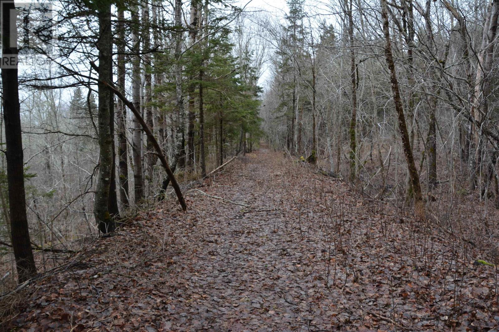 535 East River East Side Road, Glencoe, Nova Scotia  B0K 1B0 - Photo 29 - 202604544