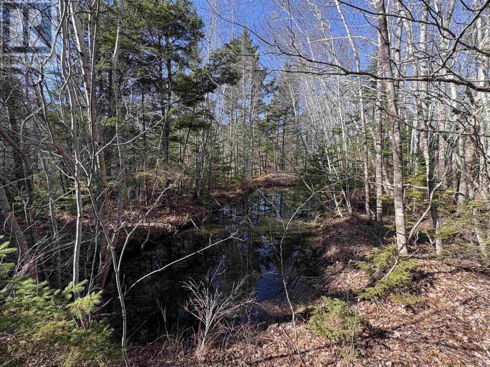 Bennie Muckle - 30 Acres Road, Bramber, Nova Scotia  B0N 2A0 - Photo 2 - 202607899