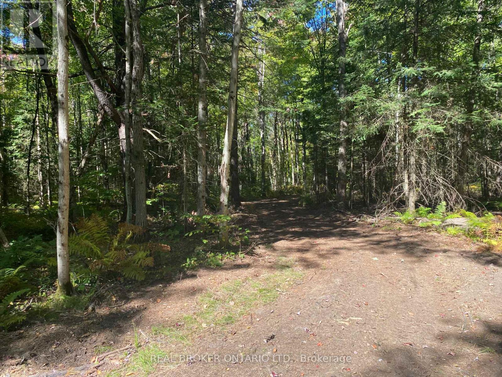 1248 Beiers Road, Gravenhurst, Ontario  P0E 1G0 - Photo 6 - X12442164