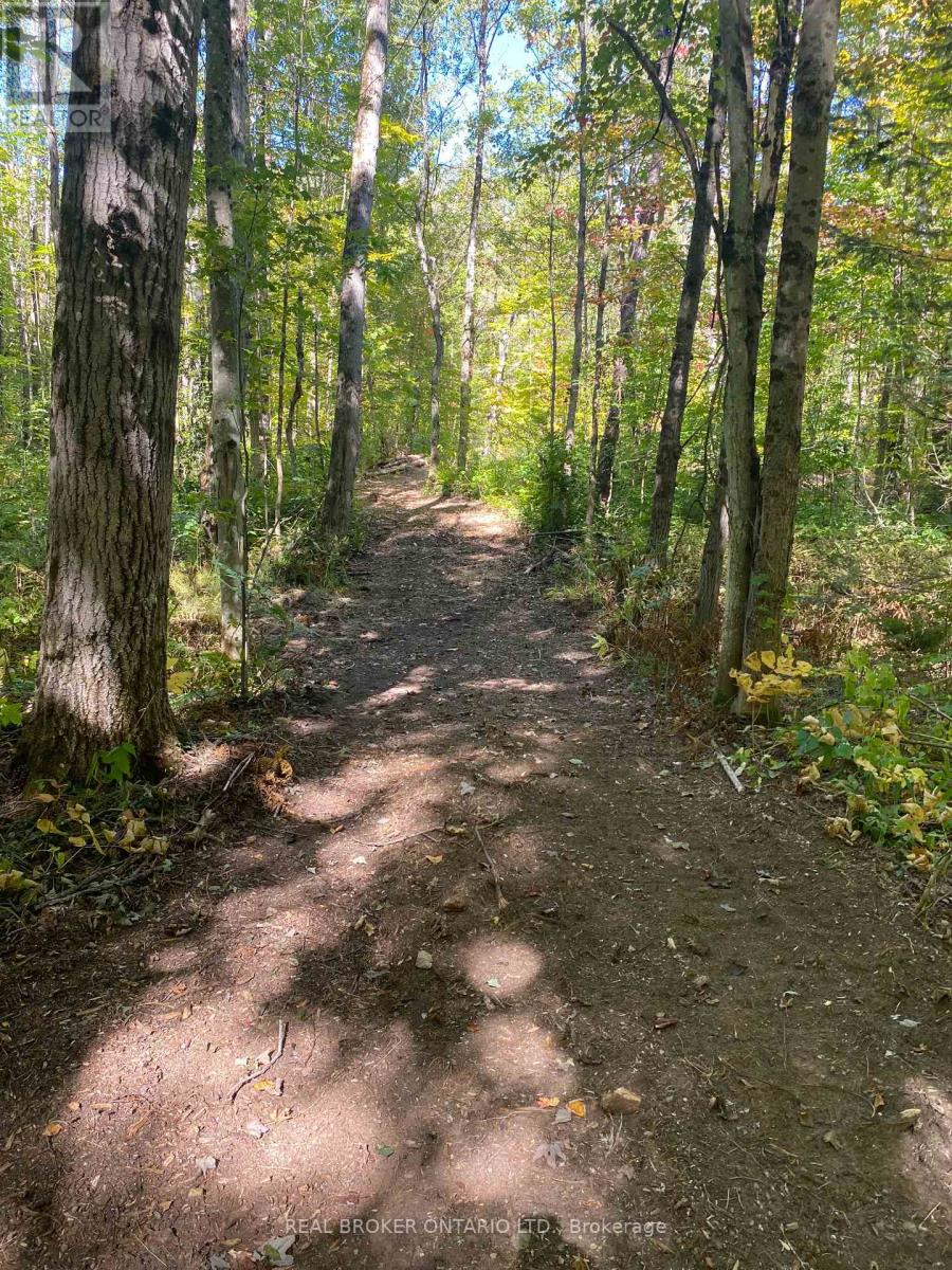 1248 Beiers Road, Gravenhurst, Ontario  P0E 1G0 - Photo 7 - X12442164