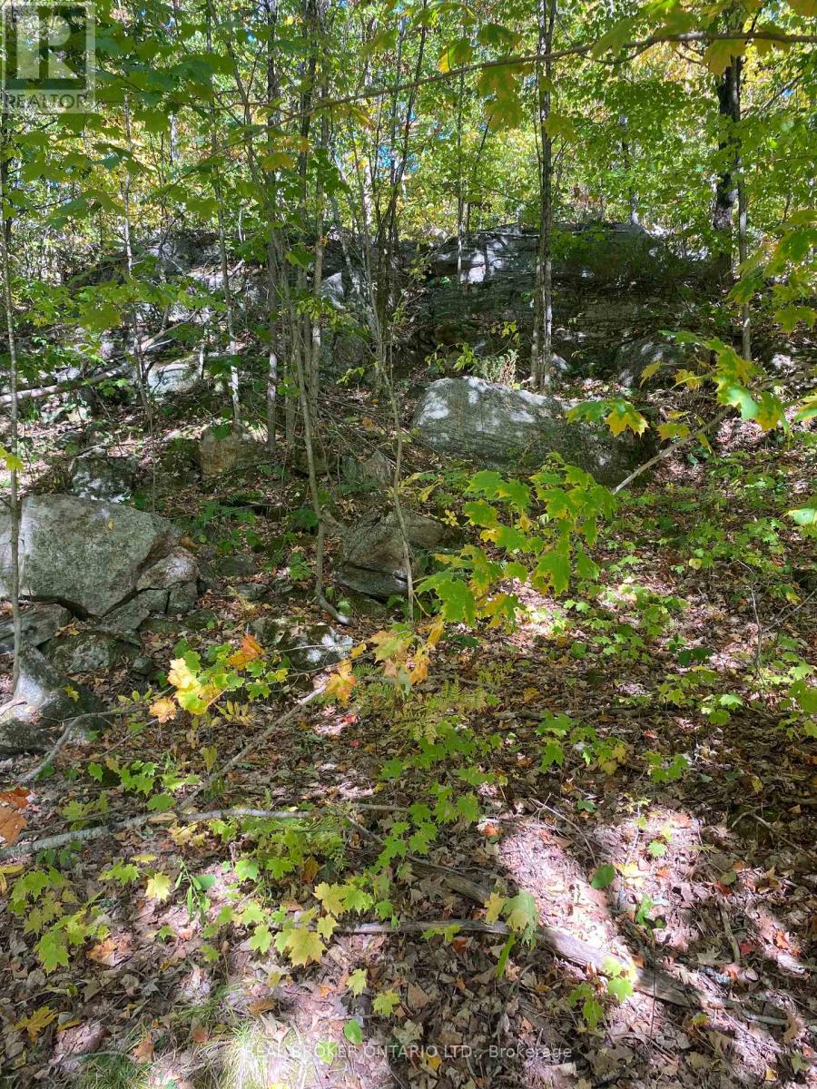 1248 Beiers Road, Gravenhurst, Ontario  P0E 1G0 - Photo 11 - X12442164