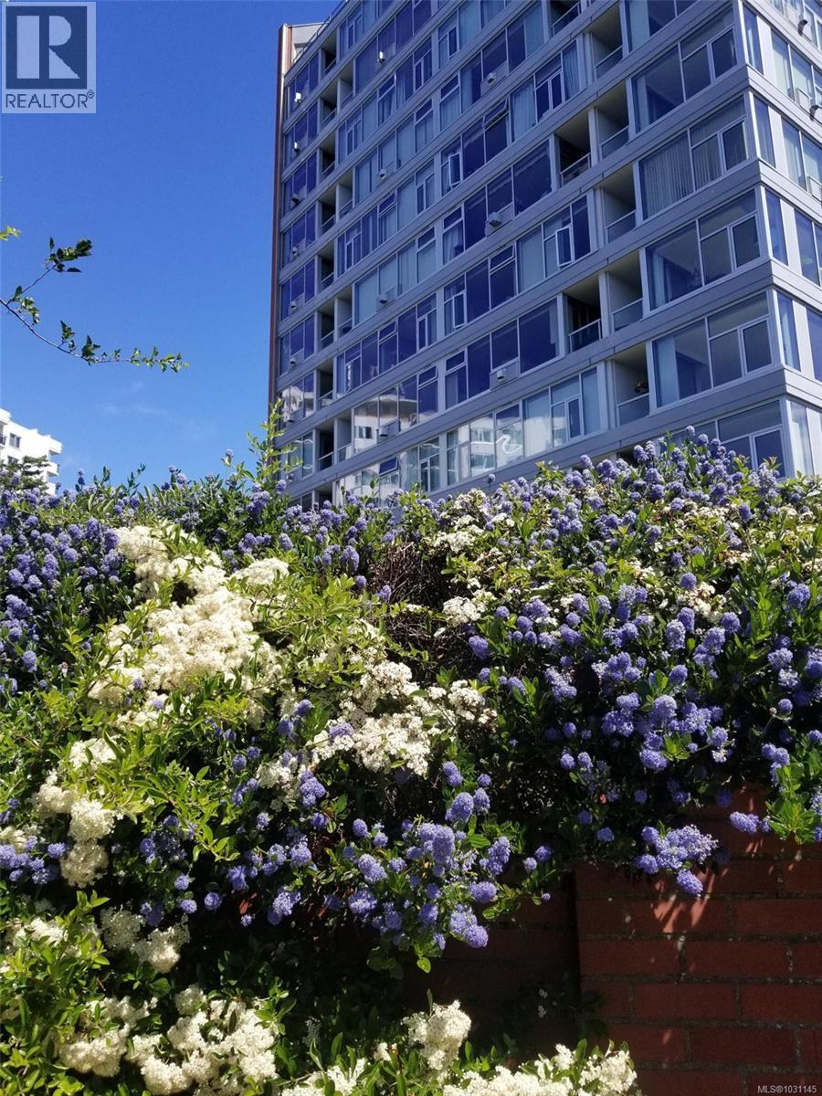 102 325 Maitland St, Victoria, British Columbia  V9A 7E9 - Photo 25 - 1031145