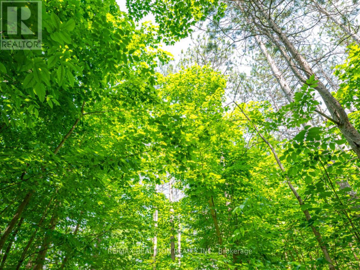 101 - 333 Sunseeker Avenue, Innisfil, Ontario  L9S 0R6 - Photo 50 - N12641842