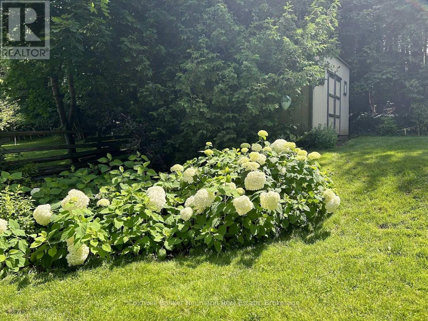 153 Harris Street, Guelph/eramosa, Ontario  N0B 2K0 - Photo 39 - X12952392