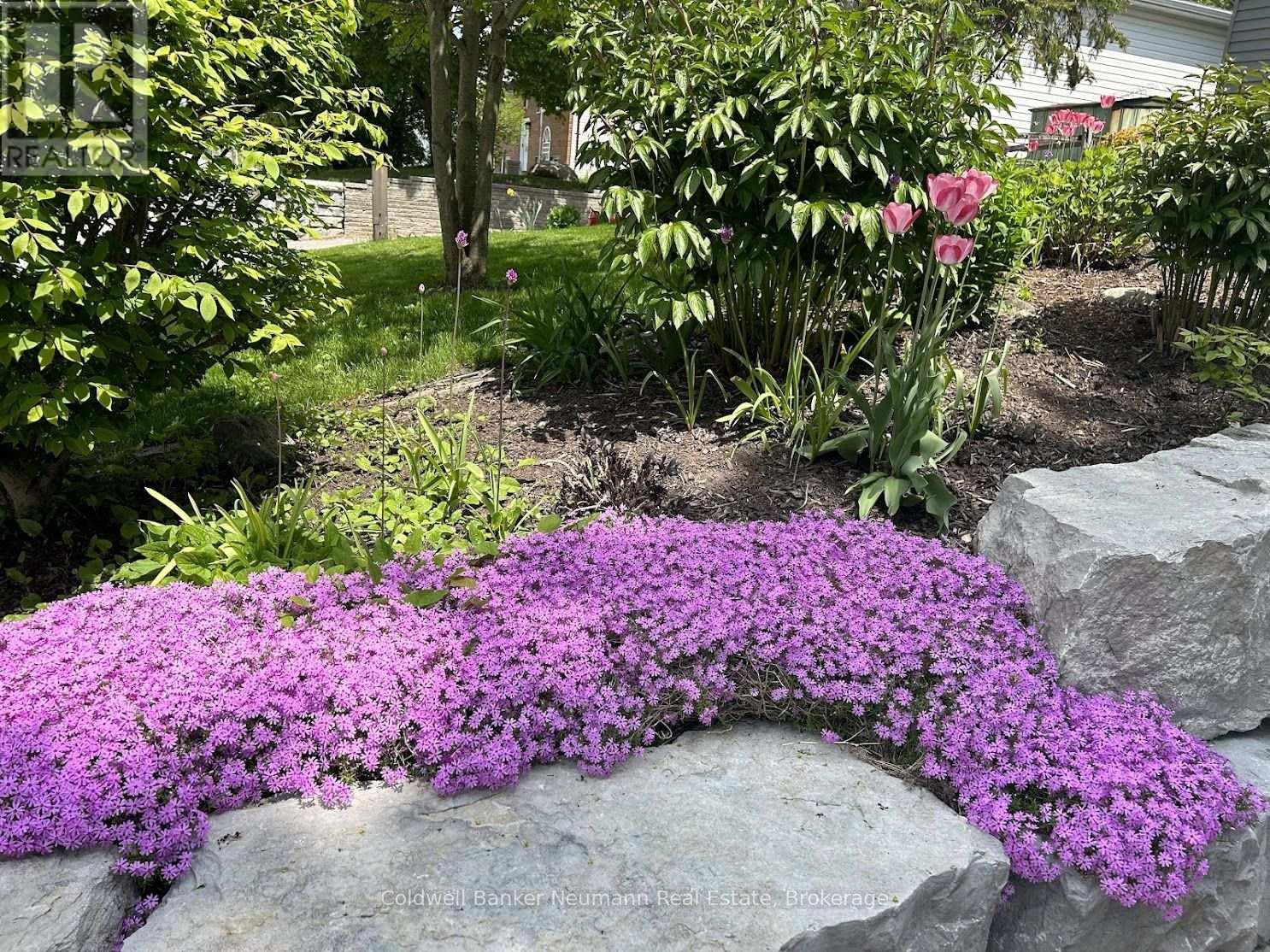 153 Harris Street, Guelph/eramosa, Ontario  N0B 2K0 - Photo 41 - X12952392