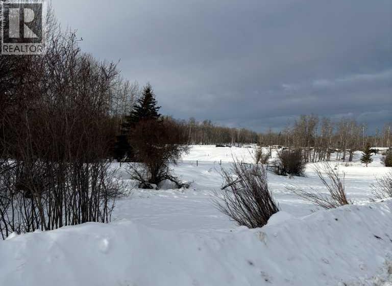 843001, Range Road 31 W6-3-84-24 NW & SW, Rural Clear Hills County, Alberta  T0H 2A0 - Photo 4 - A2281214